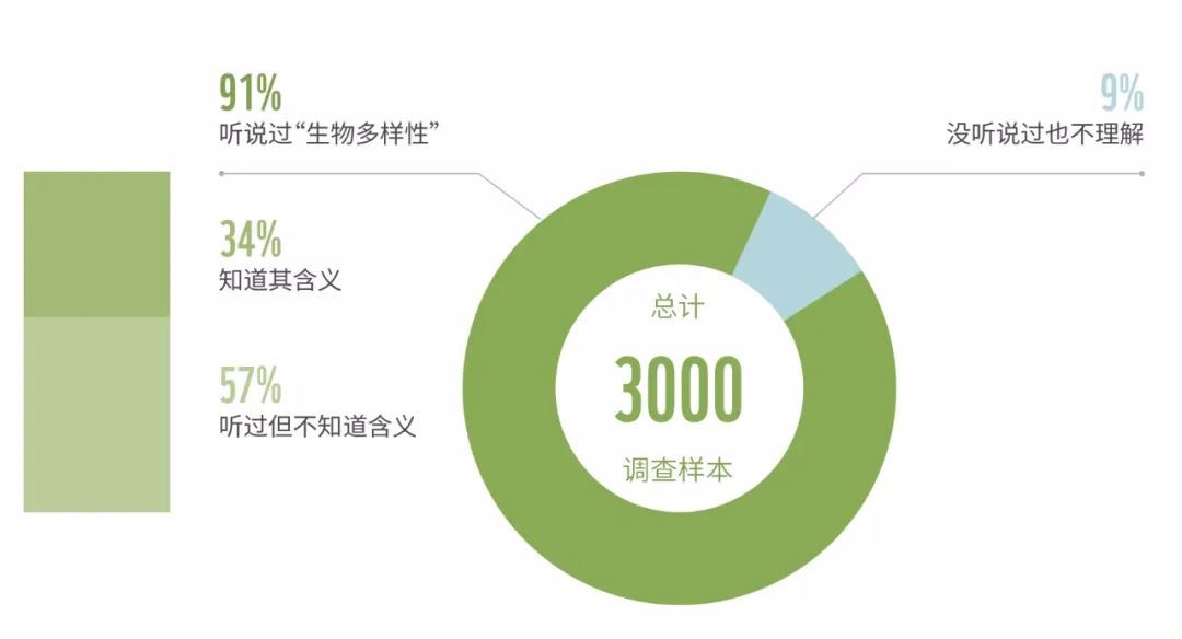 今天百度打不开_百度打开今天怎么关闭_百度打开今天怎么关