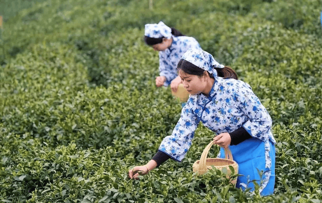 汽车订票电话_订票汽车电话查询_汽车票订购电话