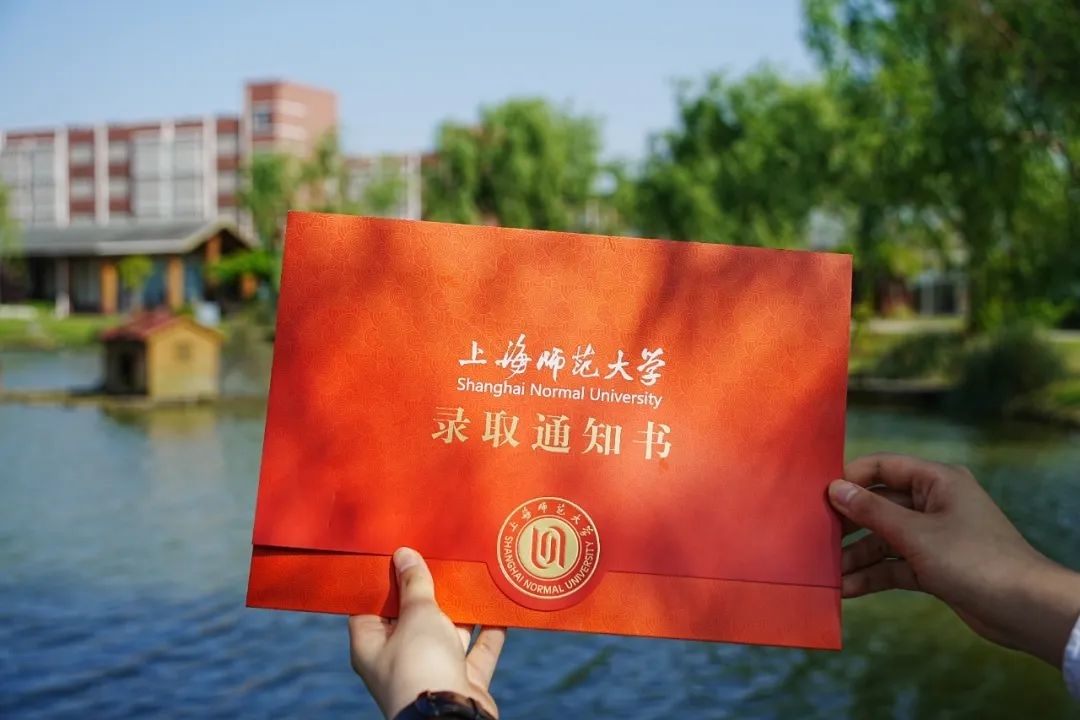 采药 200 的旅程：与大自然深情对话，探寻宝贵药材的奥秘