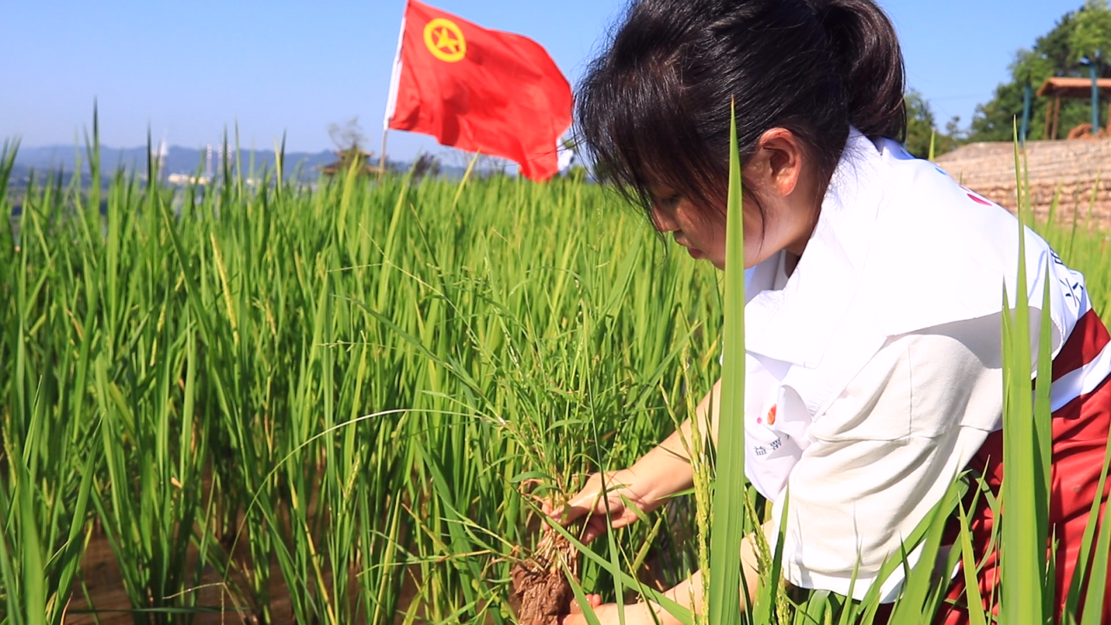 爱国者诚信联盟：用行动书写对祖国的热爱与担当