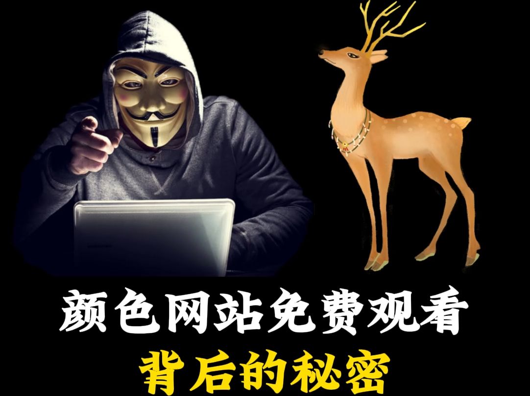 超级本多少钱_超级玉钱系统顶点_什么叫超级本上网本