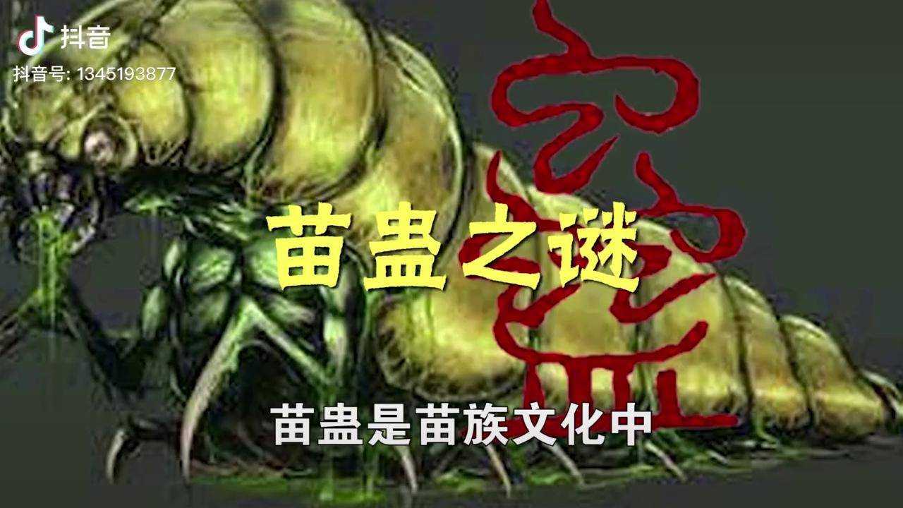 探秘魔教：神秘组织的真相与传说