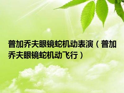 巴黎航展普加乔夫眼镜蛇机动_普加乔夫眼镜蛇机动_普加乔夫眼镜蛇机动飞行