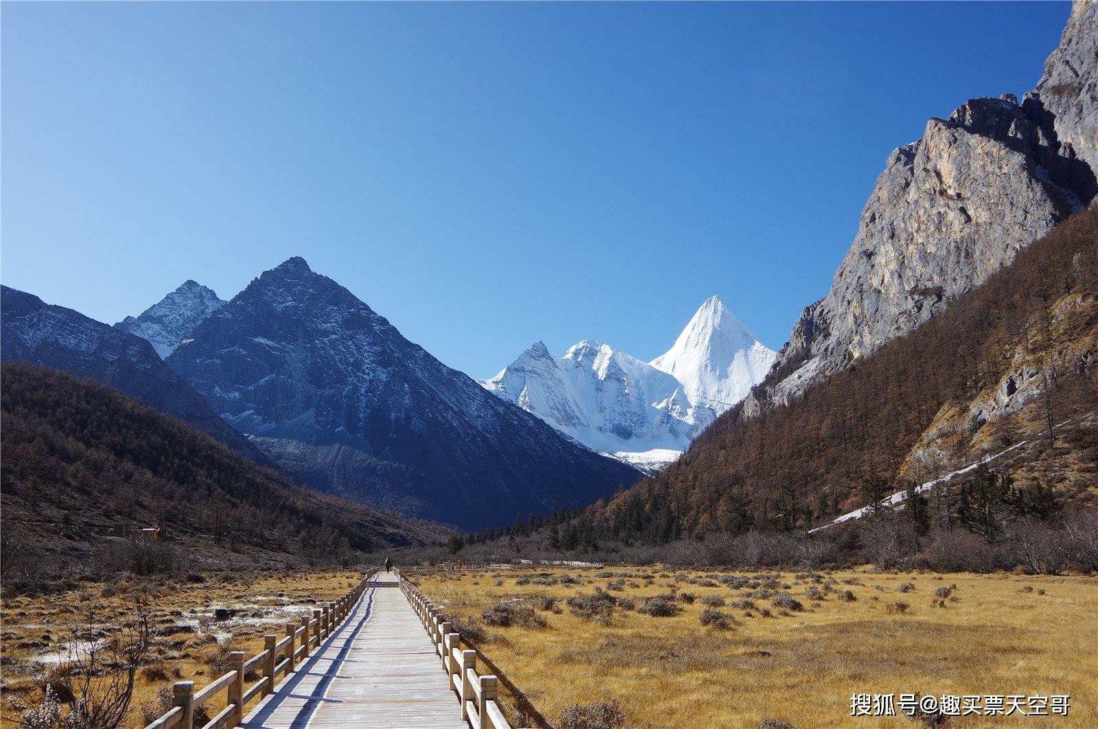 新西游记 52：一场充满欢笑与感动的情感冒险之旅