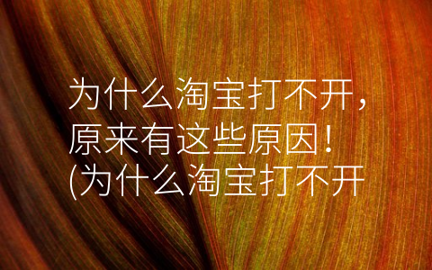 网页打开后显示小窗口_网页打开后显示不完整_为什么网页都打不开