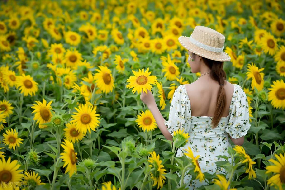 恋の预感_夏恋_夏恋预感