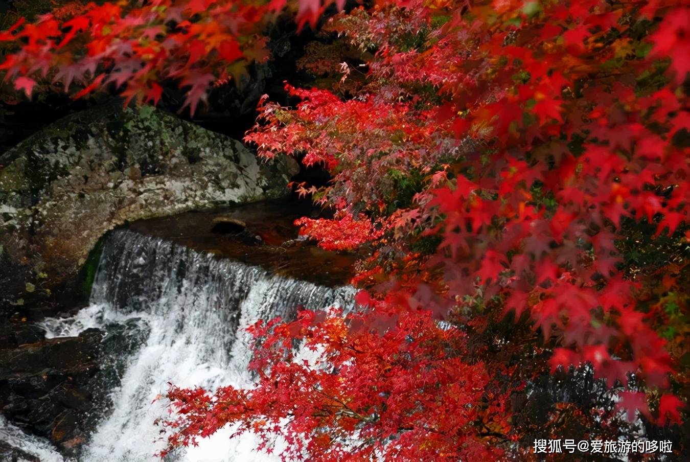 九寨沟九寨沟_九寨沟哪个省_九寨沟黄龙机场到九寨沟