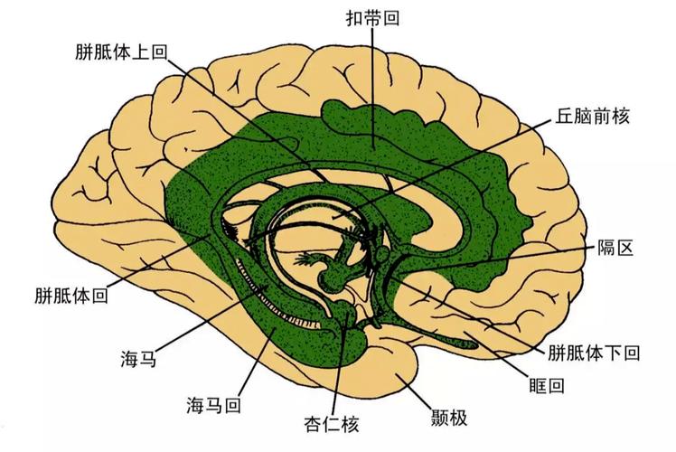 遗忘之地密码_遗忘下_遗忘下层怎么回去