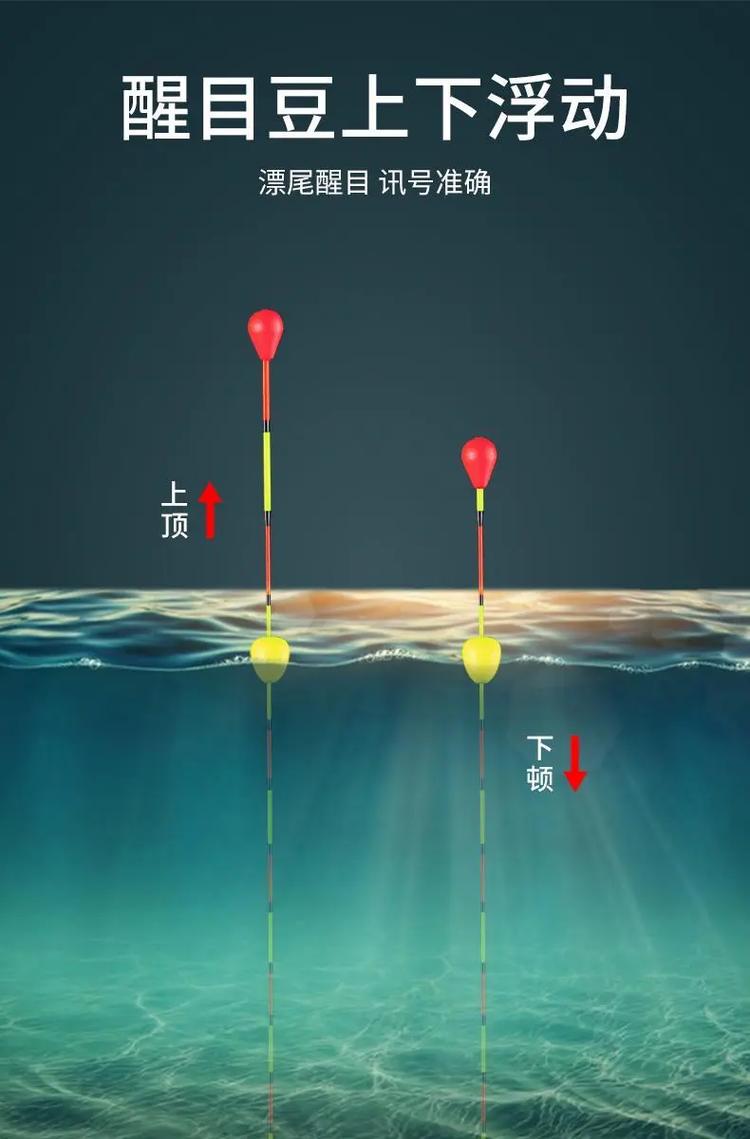 台钓看漂练习_台钓看漂游戏_台钓怎么看漂相提竿