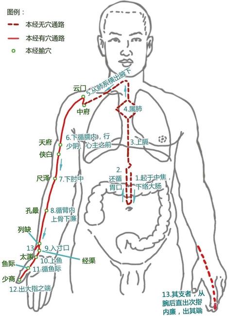 离经万花镇派经脉_万花经脉怎么点_万花经脉