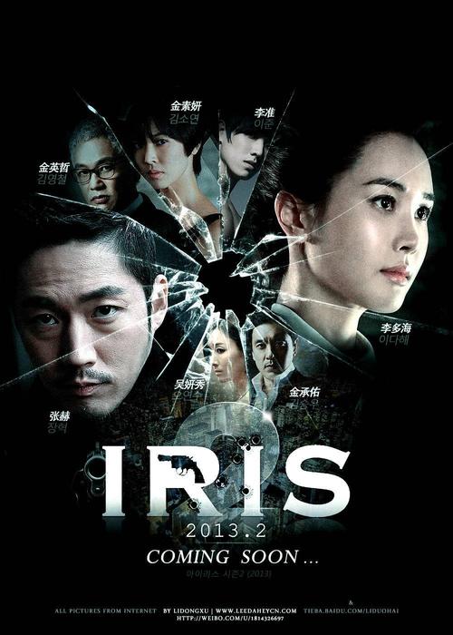 韩剧iris是什么意思啊_韩剧Iris_韩剧iris