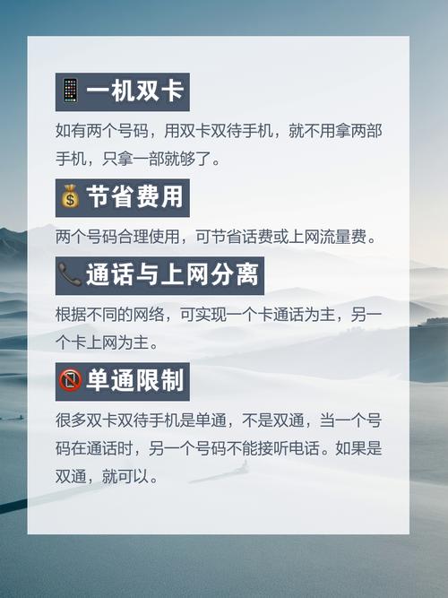 待发单是什么意思_双网双待单通_单待