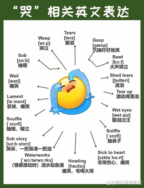 意思是英语怎么读mean_cry是什么意思_意思是的英文