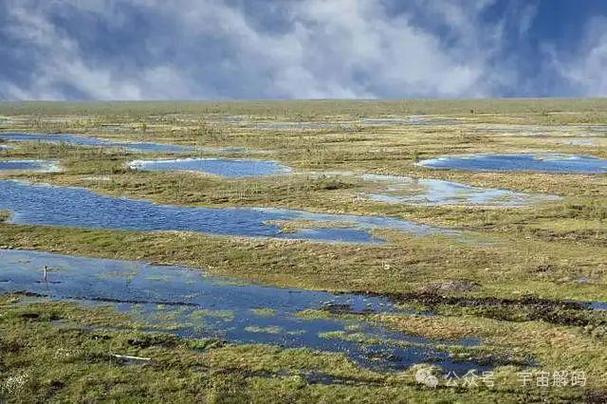 保卫羊村沃夫沼泽_沃夫沼泽_沼泽农夫