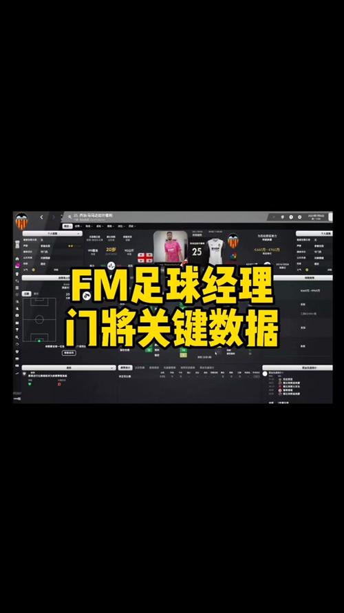 fm2007妖人_fm妖人数据_fm妖人后卫