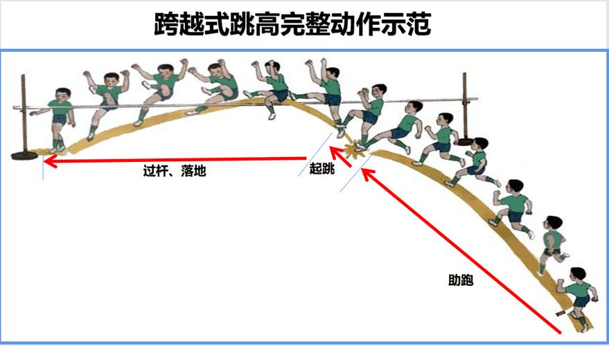 跳高撑杆类比推理_撑杆跳高_跳高撑杆多少钱一根