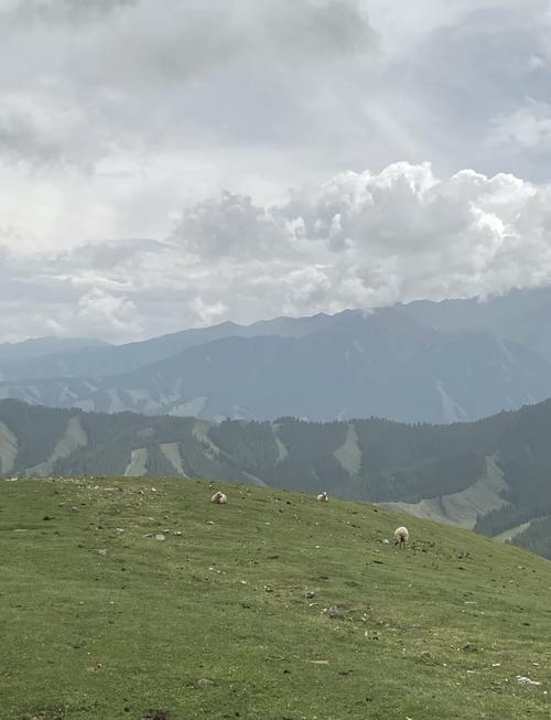 纳格兰大满贯：探索壮丽土地，体验草原生机与谷地清幽的精彩之旅