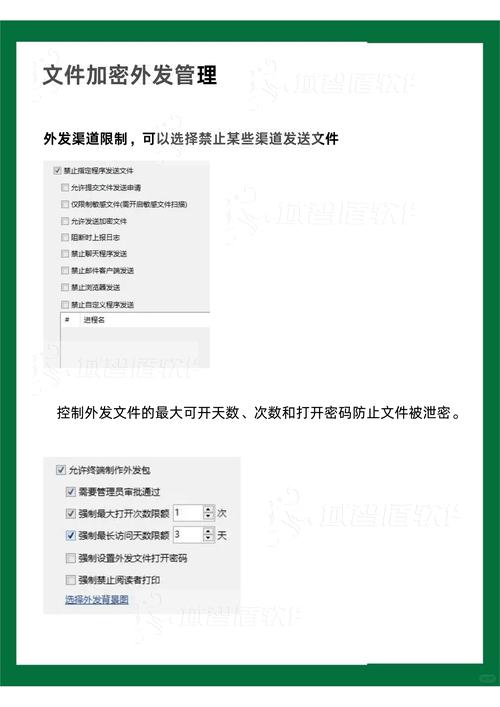 WPE专业版软件下载指南：确保正版与安全的完整步骤