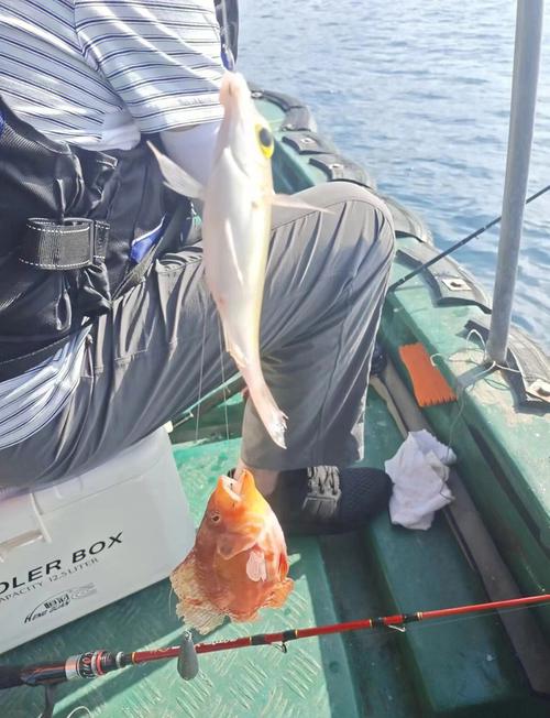 深圳海钓_海钓天堂_海钓天国