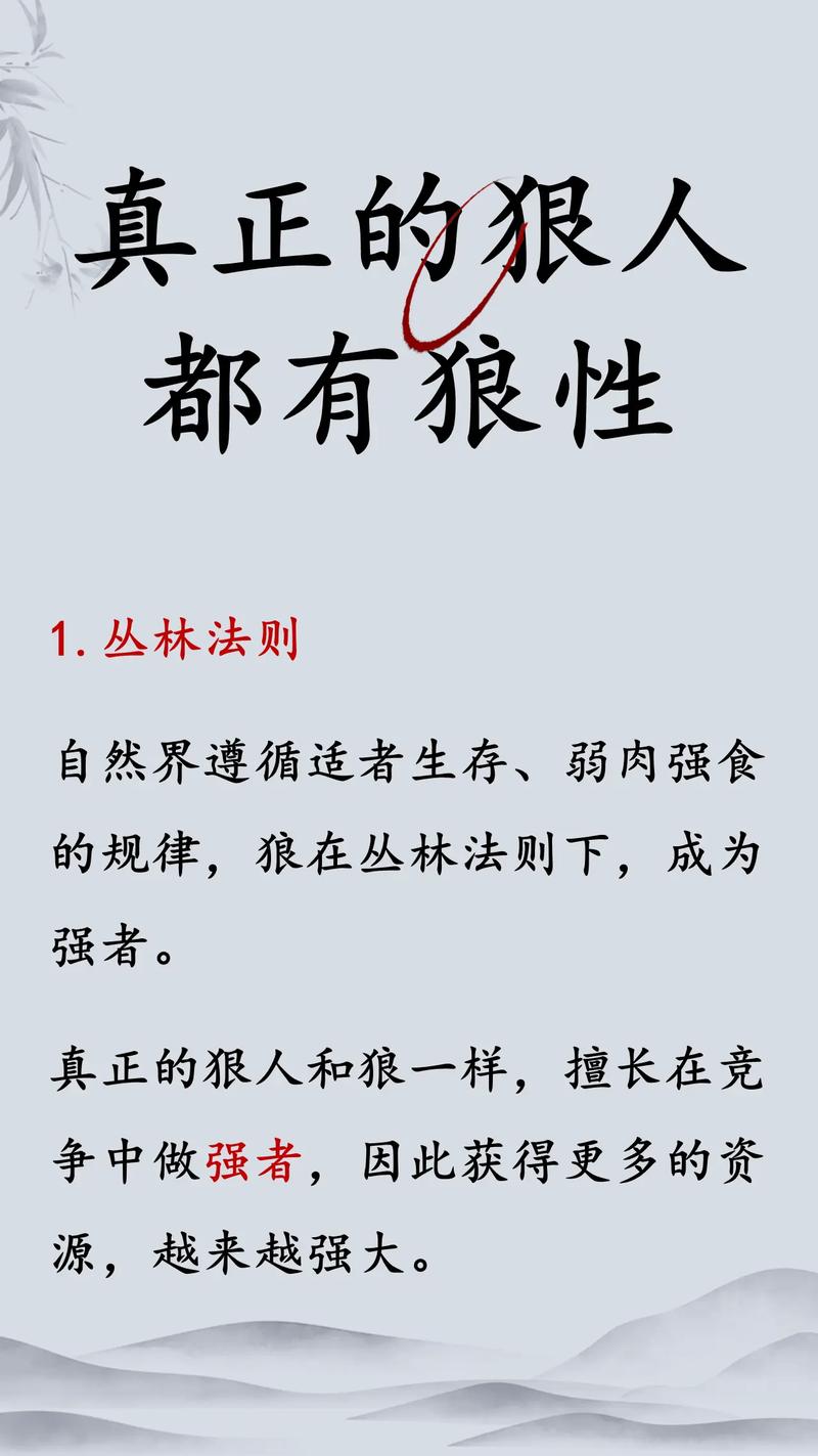 某某的狼性性格解析：社会竞争中的执着与人际交往的敏捷