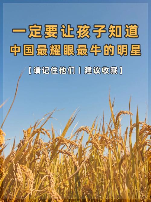 中华金短支2025贺岁版_七十二家房客贺岁版_qq2005贺岁版