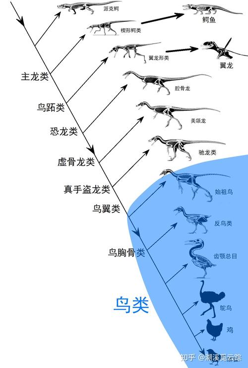 灵翼龙_灵翼龙声望任务流程_灵翼龙声望崇拜了哪里买龙