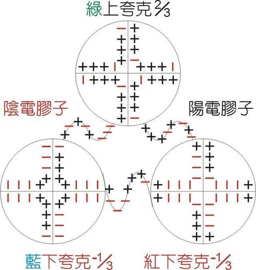 夸克的基本特性及其在物质构成中的关键作用解析